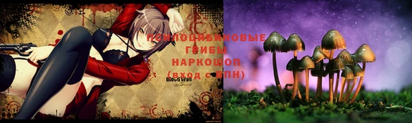 бутират Алексеевка