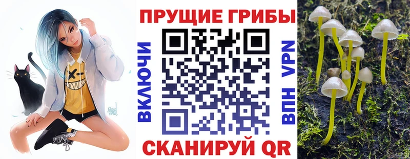 Псилоцибиновые грибы ЛСД  Сортавала 